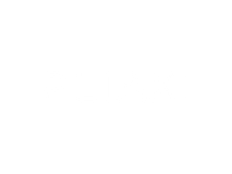 PLIAXI
